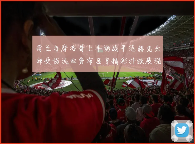 荷兰与摩洛哥上半场战平范赫克头部受伤流血费布吕亨精彩扑救展现实力