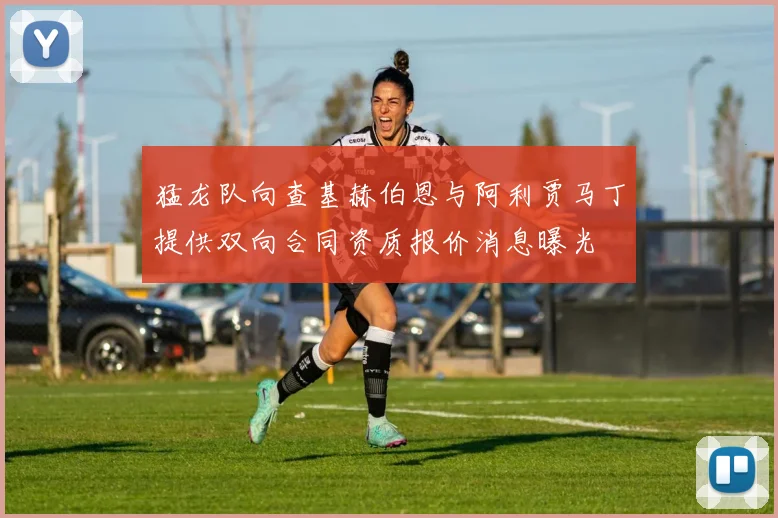猛龙队向查基赫伯恩与阿利贾马丁提供双向合同资质报价消息曝光